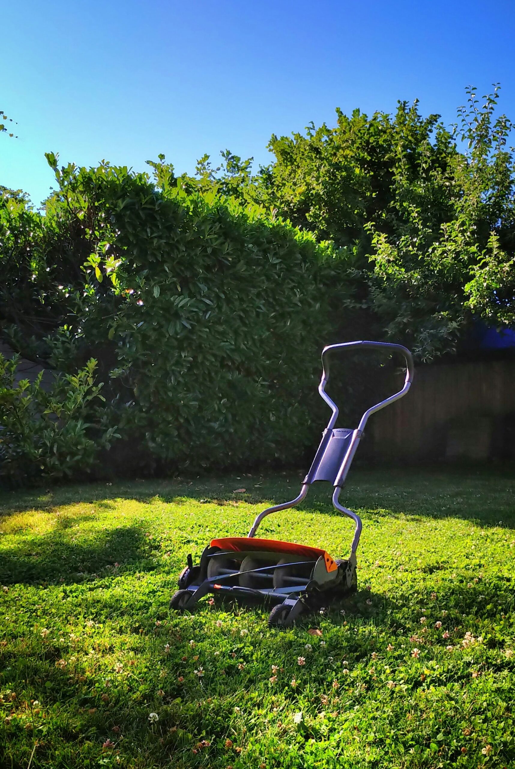 lawn 4 scaled