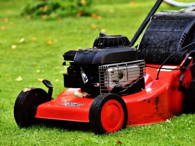 lawn (1) lawn (1)