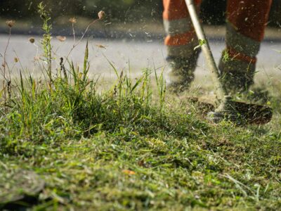 lawn (2) lawn (2)
