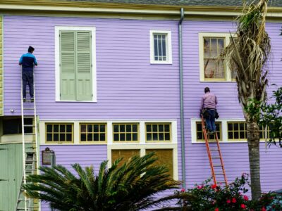 paint (4) paint (4)